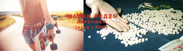 PSILOCYBIN Красноперекопск