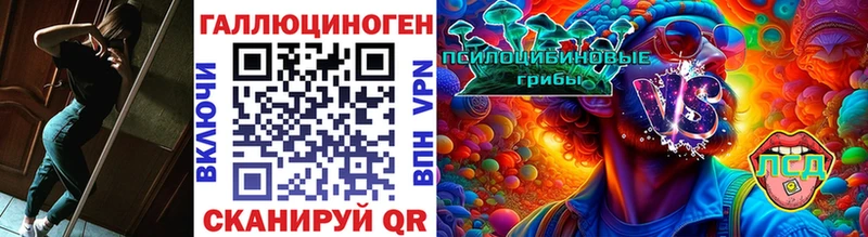 мориарти клад  hydra зеркало  Первоуральск  Галлюциногенные грибы мицелий 